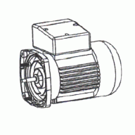 Двигатель к насосу Emaux SS020 (220В)